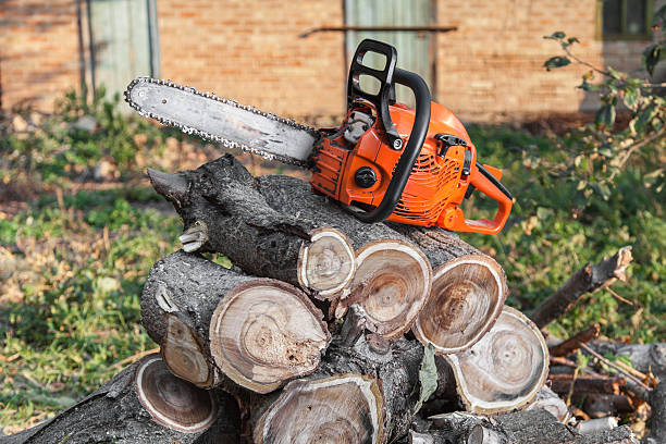 Best Professional Tree Care  in Lexington, WA